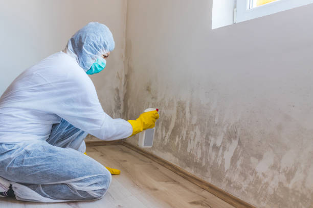 Licensed Mold Remediation service in Columbus, GA - WQB Mold Removal
