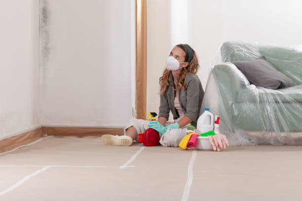 Reliable Mold Remediation contractor in Columbus, GA by WQB Mold Removal